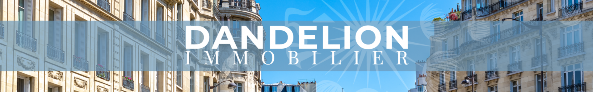 image de couverture de DANDELION IMMOBILIER