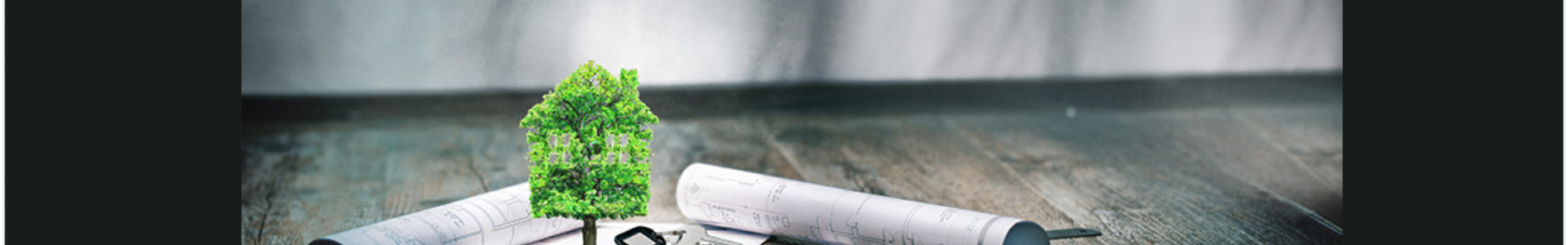 image de couverture de Peterson.fr