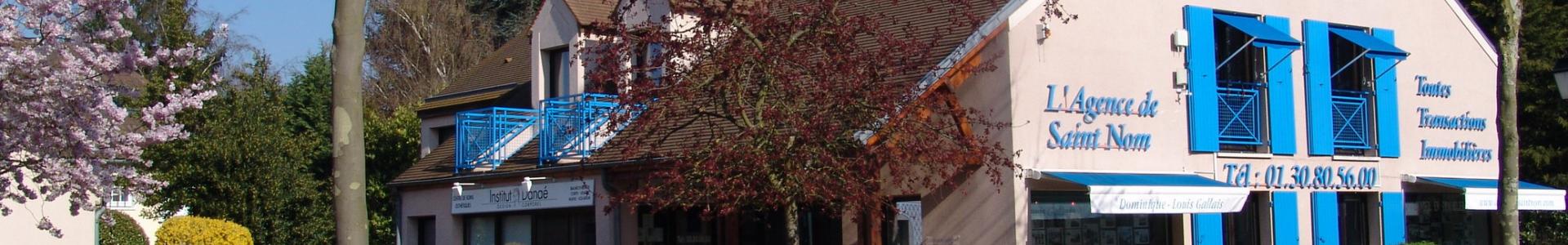 image de couverture de Agence de Saint Nom
