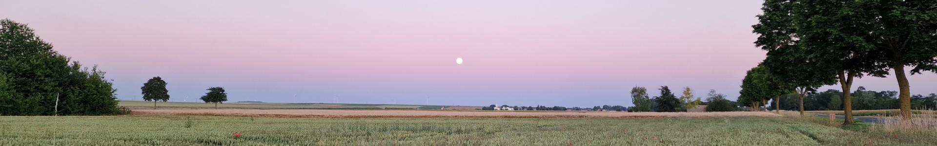 Image de couverture de PROVIMO - VERT David