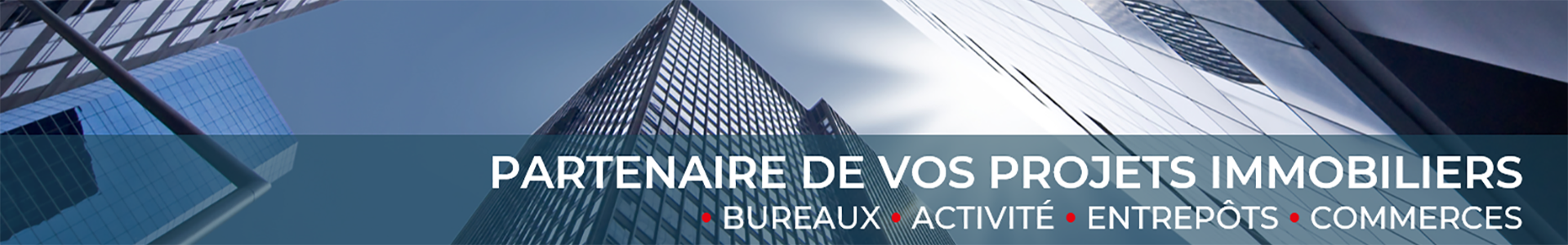 image de couverture de Advenis Conseil & Transaction - IDF Ouest