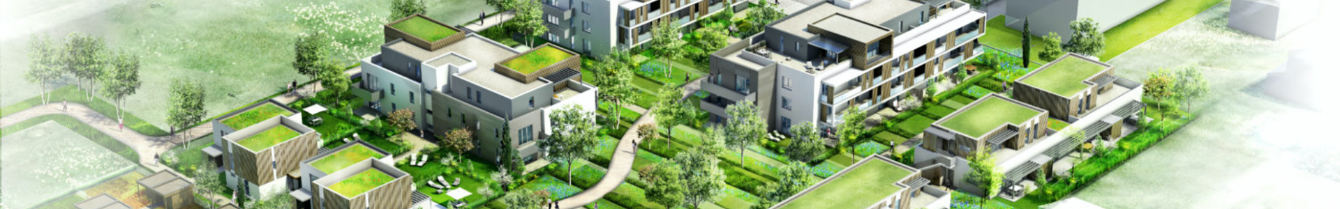 Image de couverture de Edifim Groupe