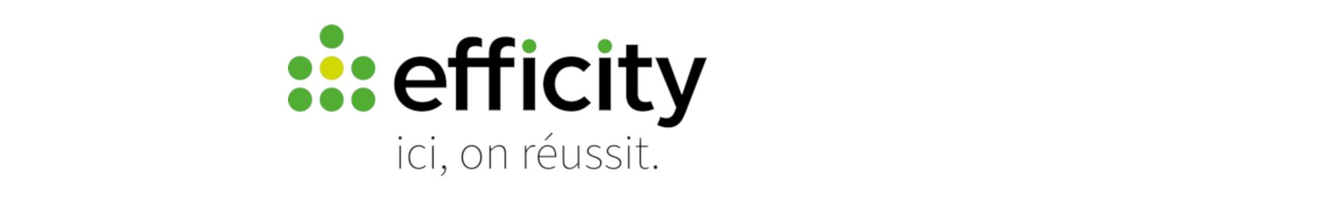 Image de couverture de efficity immobilier - Morgan Louis-Eugene