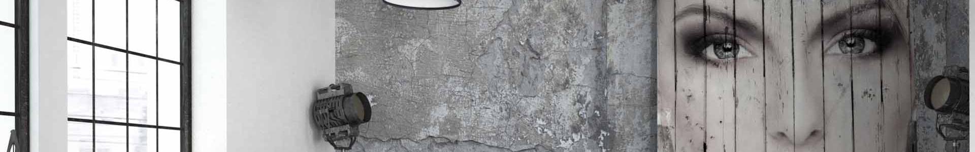 image de couverture de LIZ Immobilier