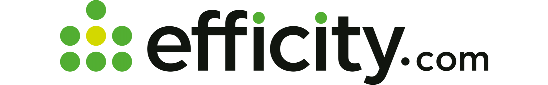 image de couverture de efficity - Laure D'Angeli