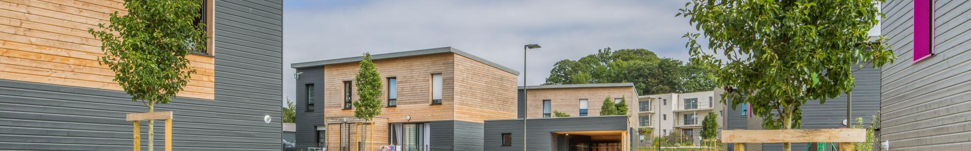 image de couverture de imoja par Aiguillon