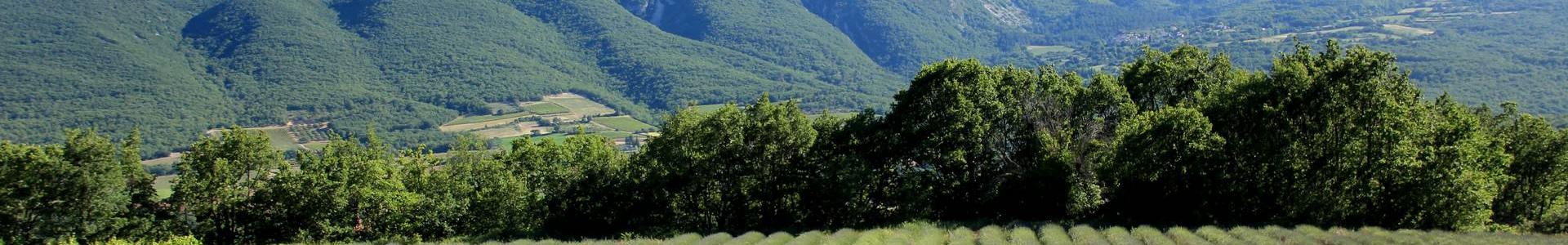 Image de couverture de efficity - Yannick Lauria