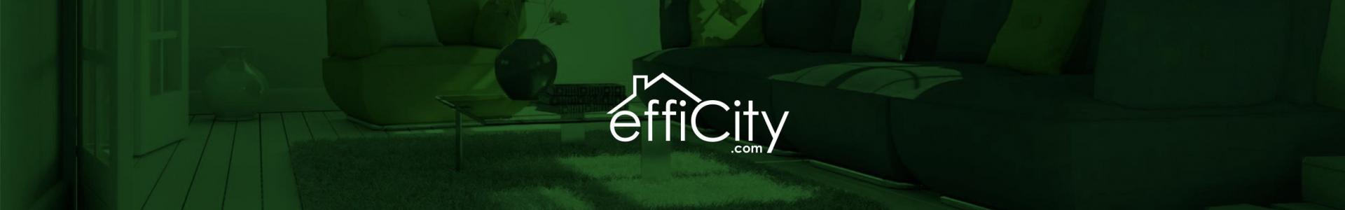 Image de couverture de efficity - Willy Delhumeau