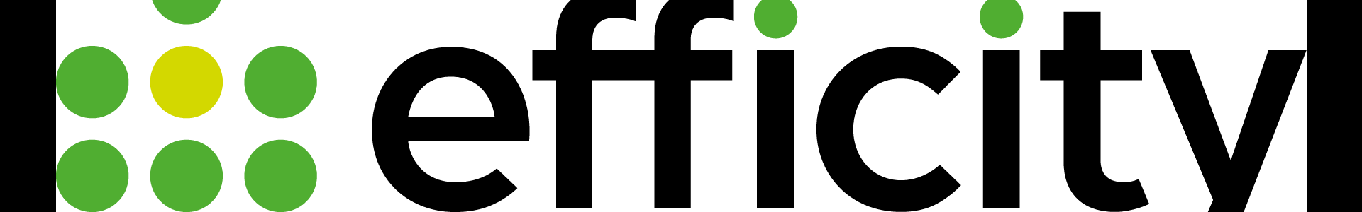 image de couverture de efficity - Marielle Pannecocke