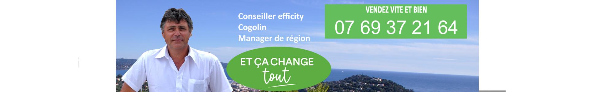 image de couverture de efficity - Georges Halvick