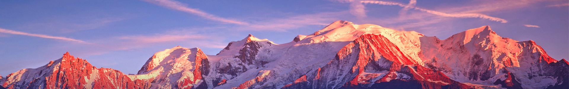 Image de couverture de Juliette  & Co immobilier