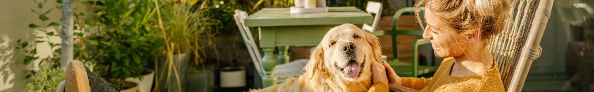 Image de couverture de Bouygues Immobilier - siège