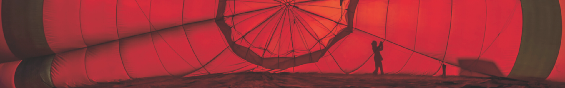 image de couverture de REMAX IMMCO