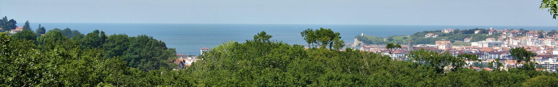 image de couverture de efficity immobilier - Valérie Forme