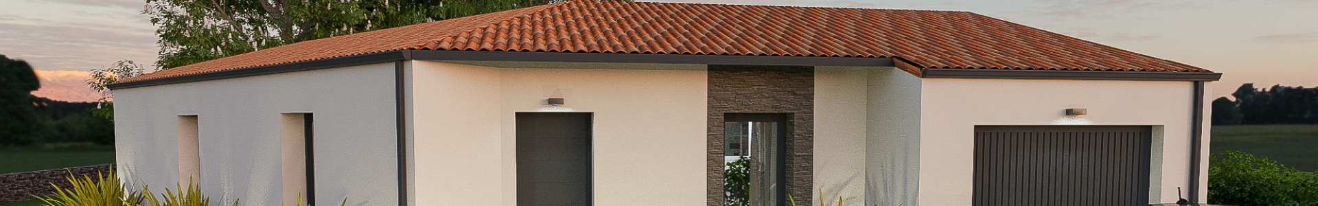 image de couverture de Maisons Ného