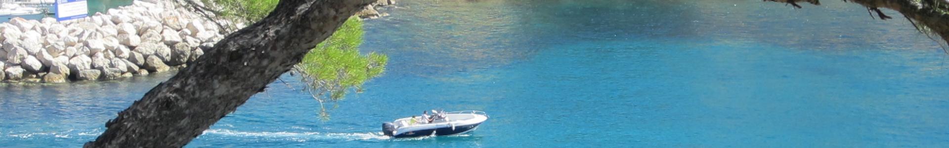 image de couverture de A2MIMMO