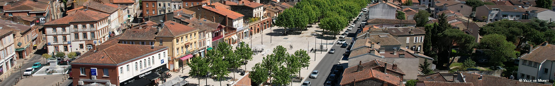 image de couverture de ICC Finance - Muret