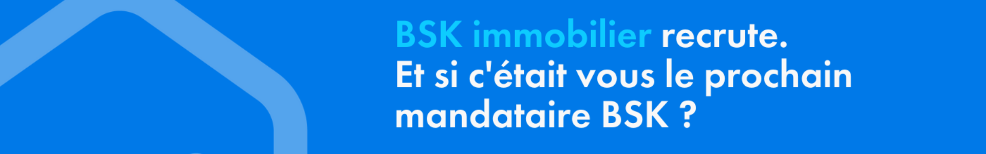 image de couverture de BSK Immobilier - Dimitri Grebonval