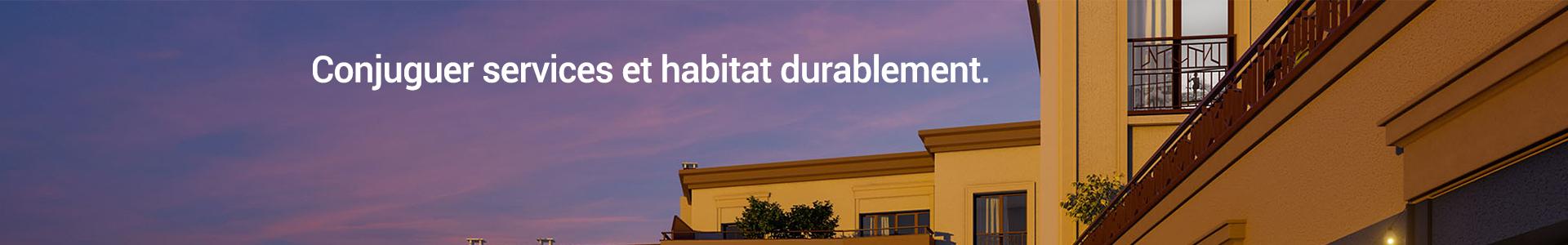 image de couverture de LP Promotion Paris