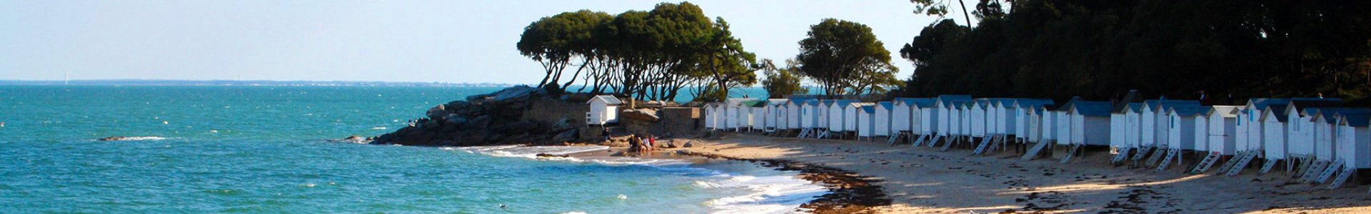 Image de couverture de Agence Les Mimosas