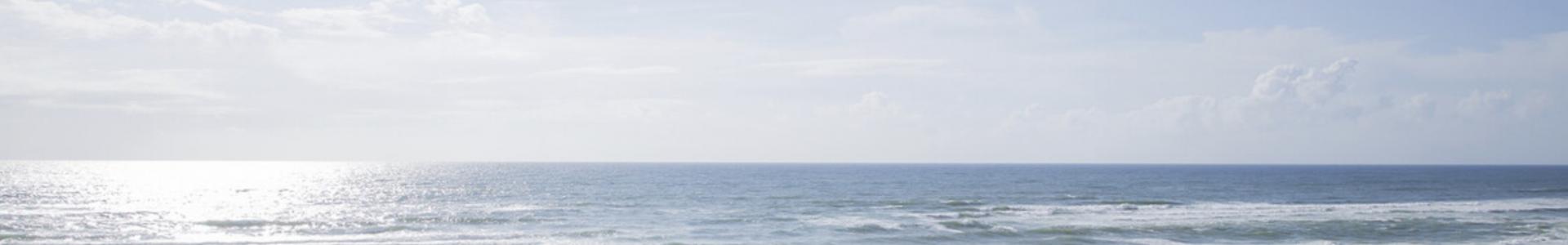 image de couverture de EXPERTIMO- VERGNE Bertrand