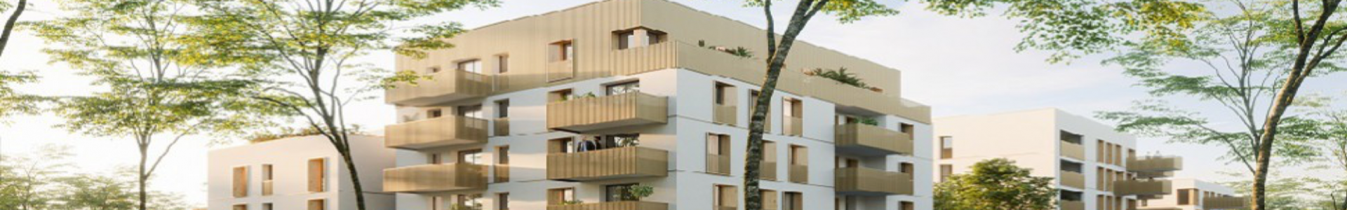 Image de couverture de Sully Immobilier