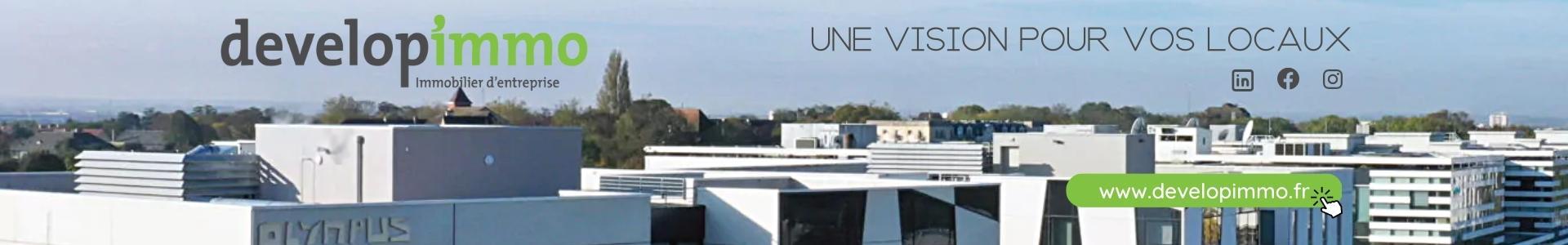 Image de couverture de Develop'Immo