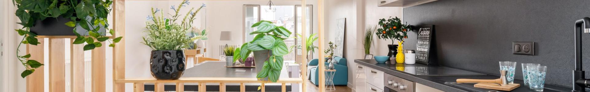 image de couverture de Idéhome Staging - Fanny Gonin