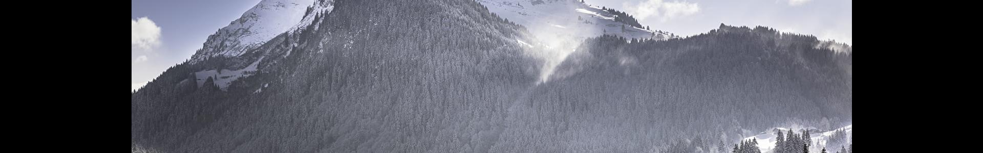 image de couverture de effiCity - Emmanuelle Rosset