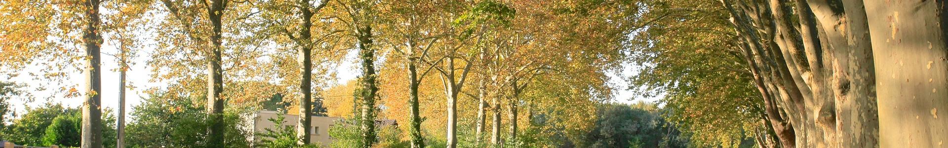 image de couverture de ICC Finance - Toulouse Nord