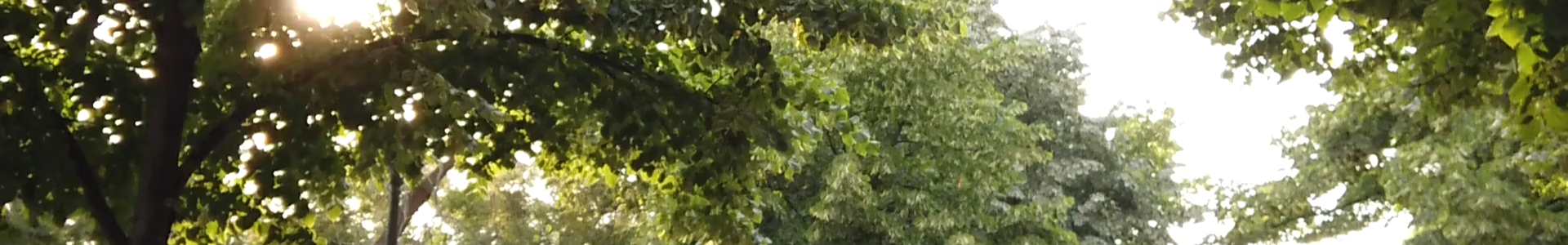 image de couverture de Agence Du Village