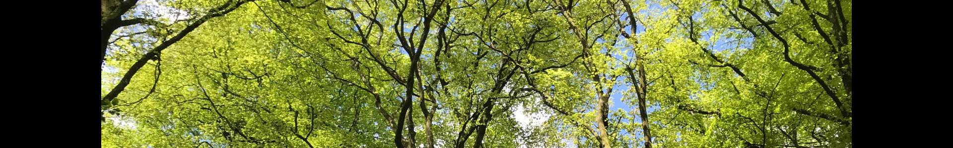 image de couverture de Noovimo - Marie Hélène Corcuff