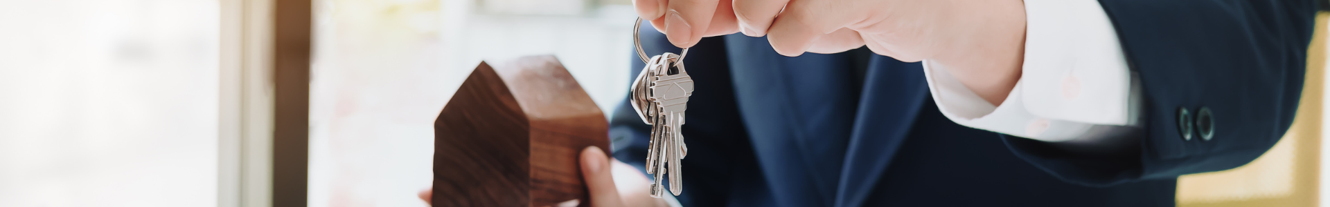 image de couverture de BERSOT IMMOBILIER