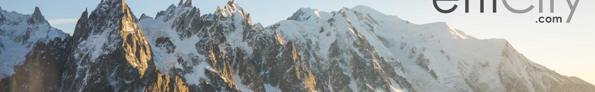 image de couverture de efficity - Martin Beaujouan