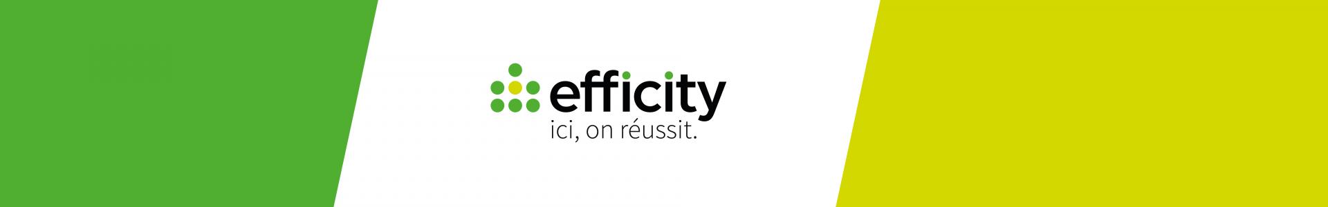 Image de couverture de efficity immobilier - Pierre Oudot