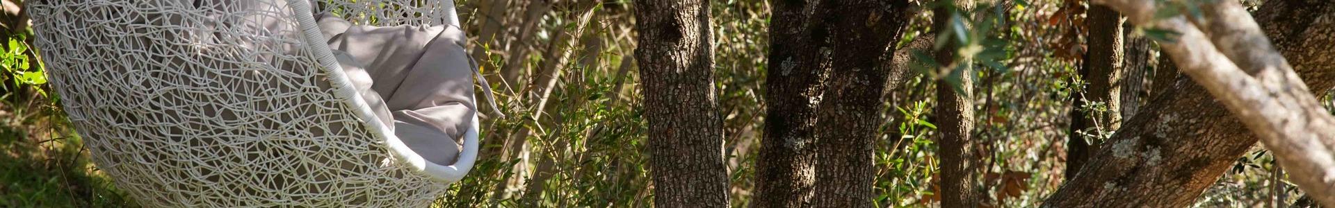 image de couverture de NERI BASTELICACCIA IMMOBILIER