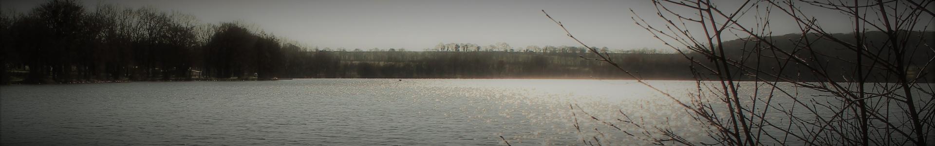 Image de couverture de Proximmo Immobilier