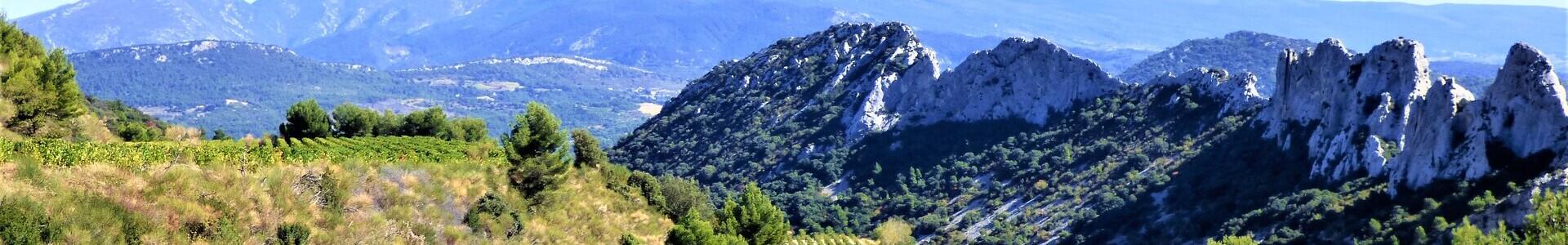 image de couverture de Côté Ventoux Immobilier