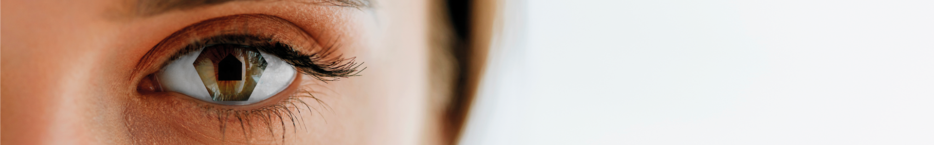 image de couverture de GpM immobilier