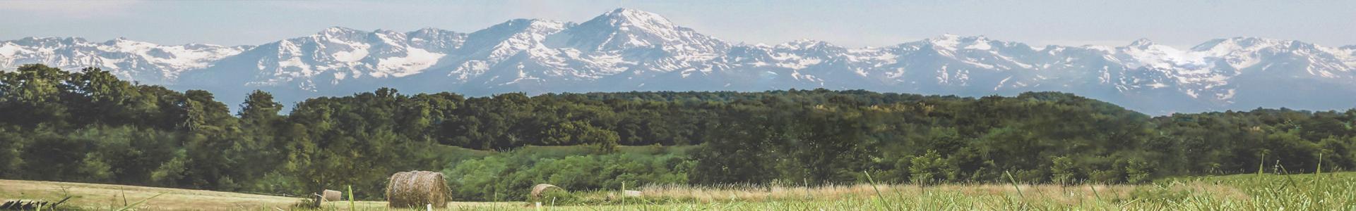 image de couverture de L'Occitane Immobilier