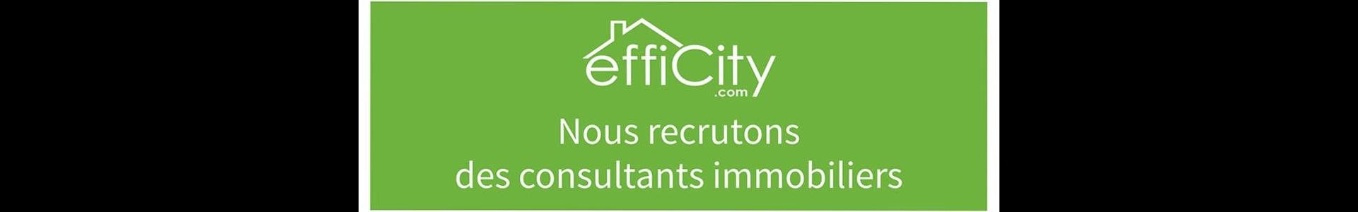 Image de couverture de efficity - Franck Puccetti