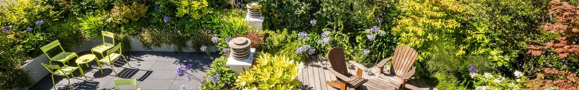 image de couverture de BARNES Paris Est