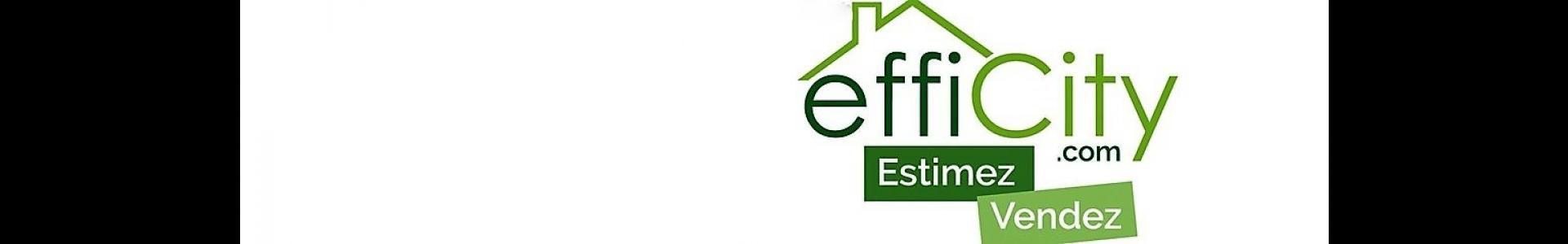 Image de couverture de effiCity - Gaëlle Couturaud