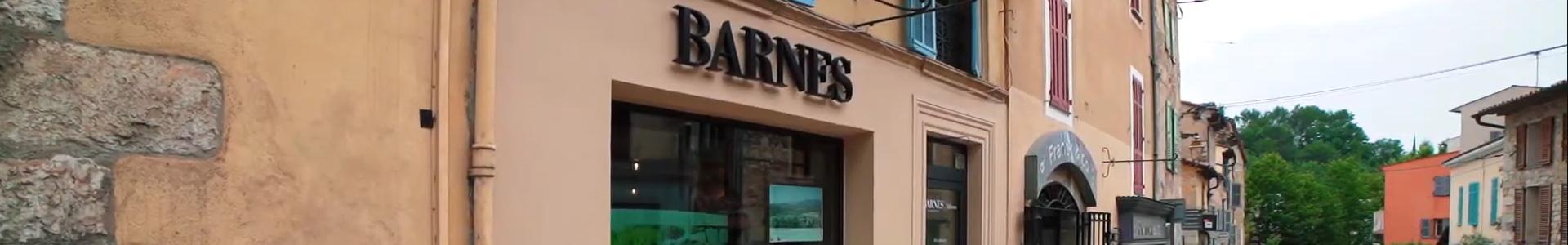 image de couverture de BARNES Valbonne