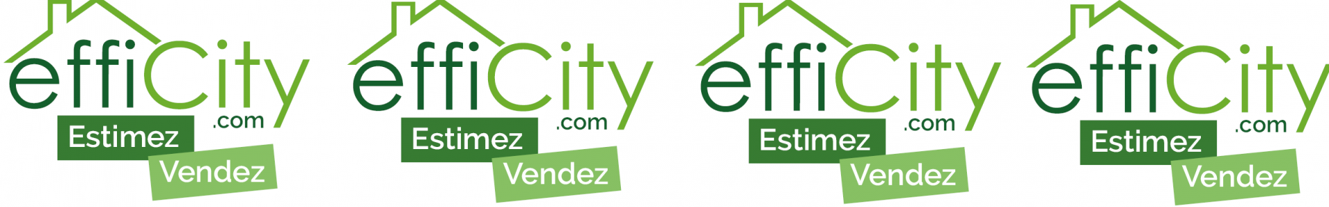 image de couverture de efficity - Christophe Danet