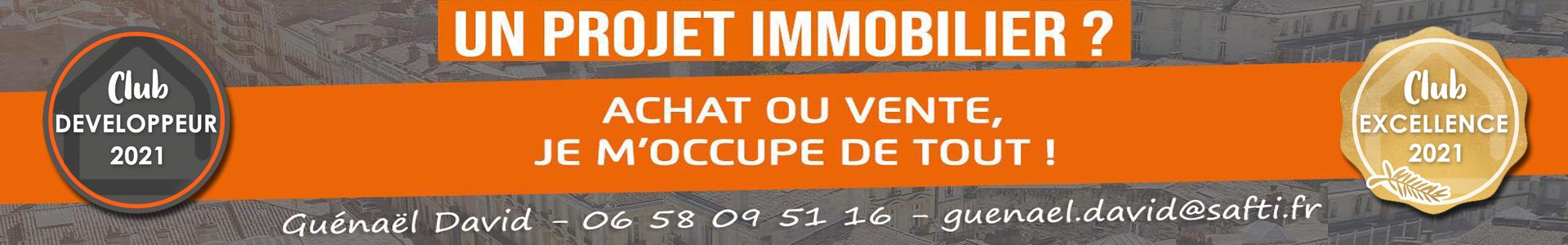 image de couverture de SAFTI - Guénaël DAVID