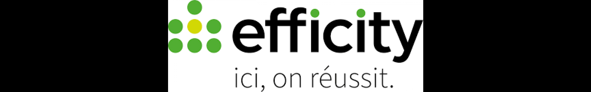 image de couverture de efficity - Vanessa Fremont