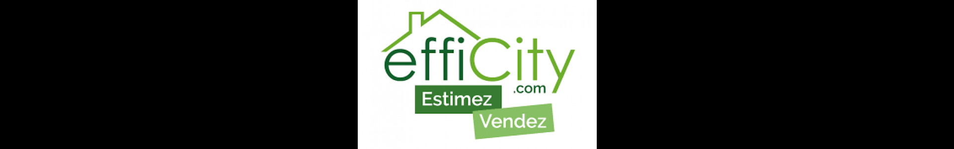 image de couverture de effiCity - Stephanie Patoux