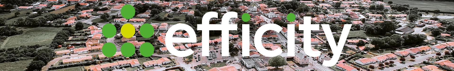 image de couverture de efficity - Gérald Chaigneau