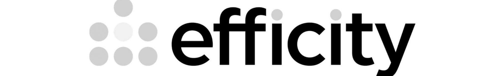 image de couverture de efficity immobilier - Géraldine Germanaud